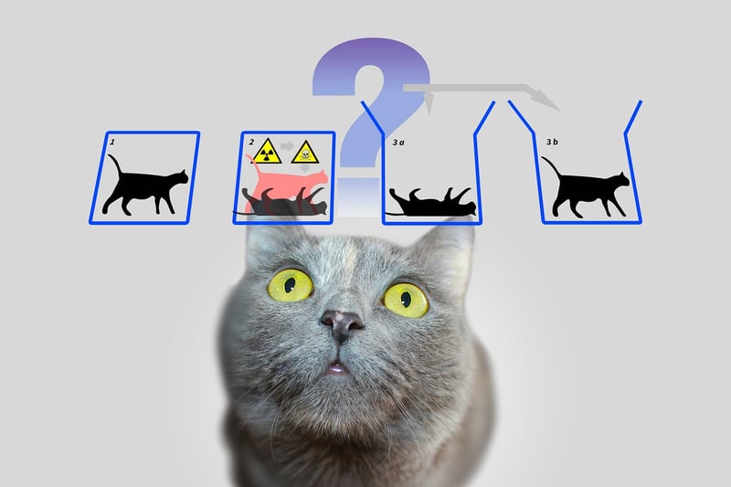 Quantum Time Travel